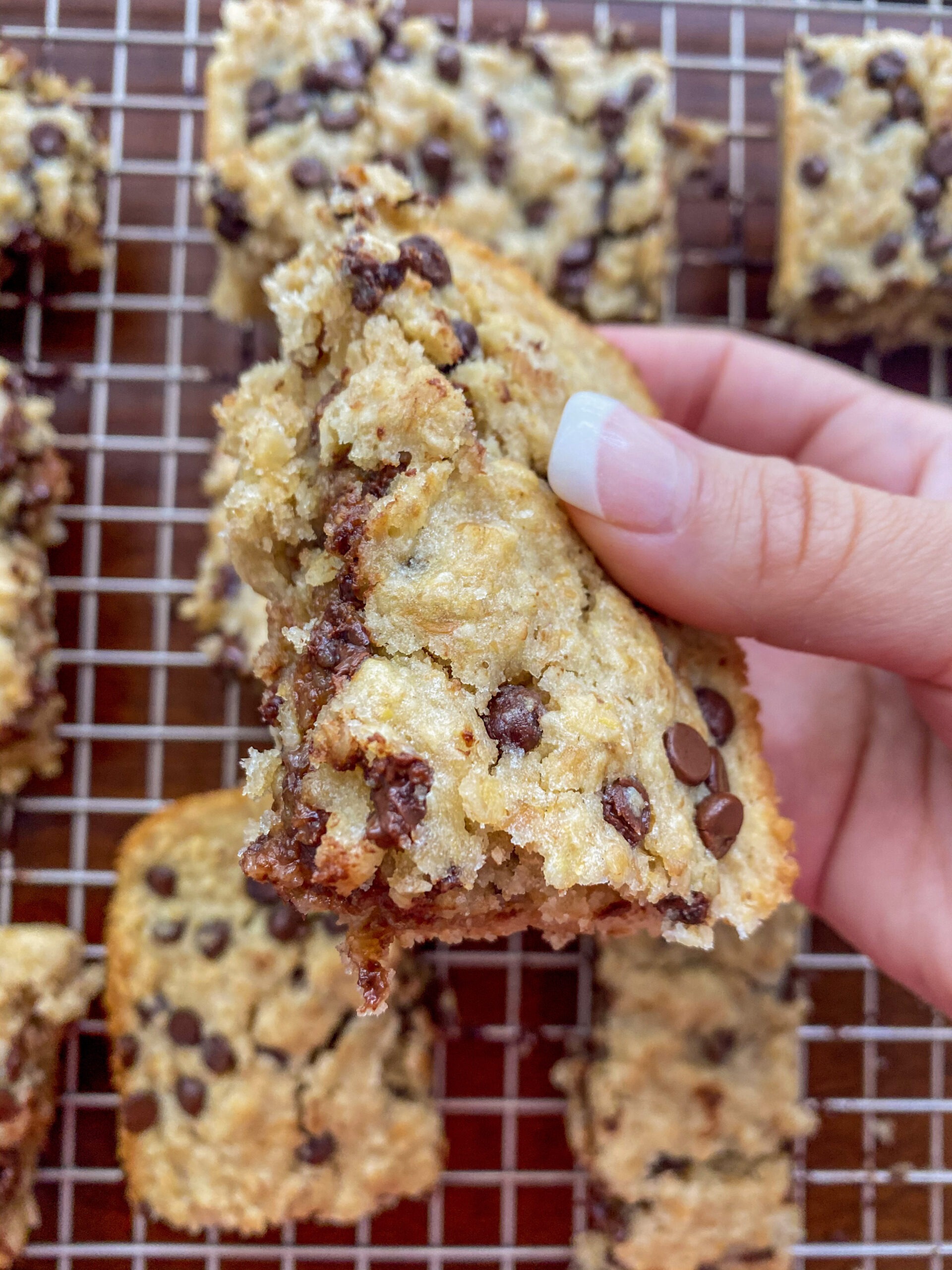 Hand Holding Oatmeal Chocolate Chip Cookie Bars