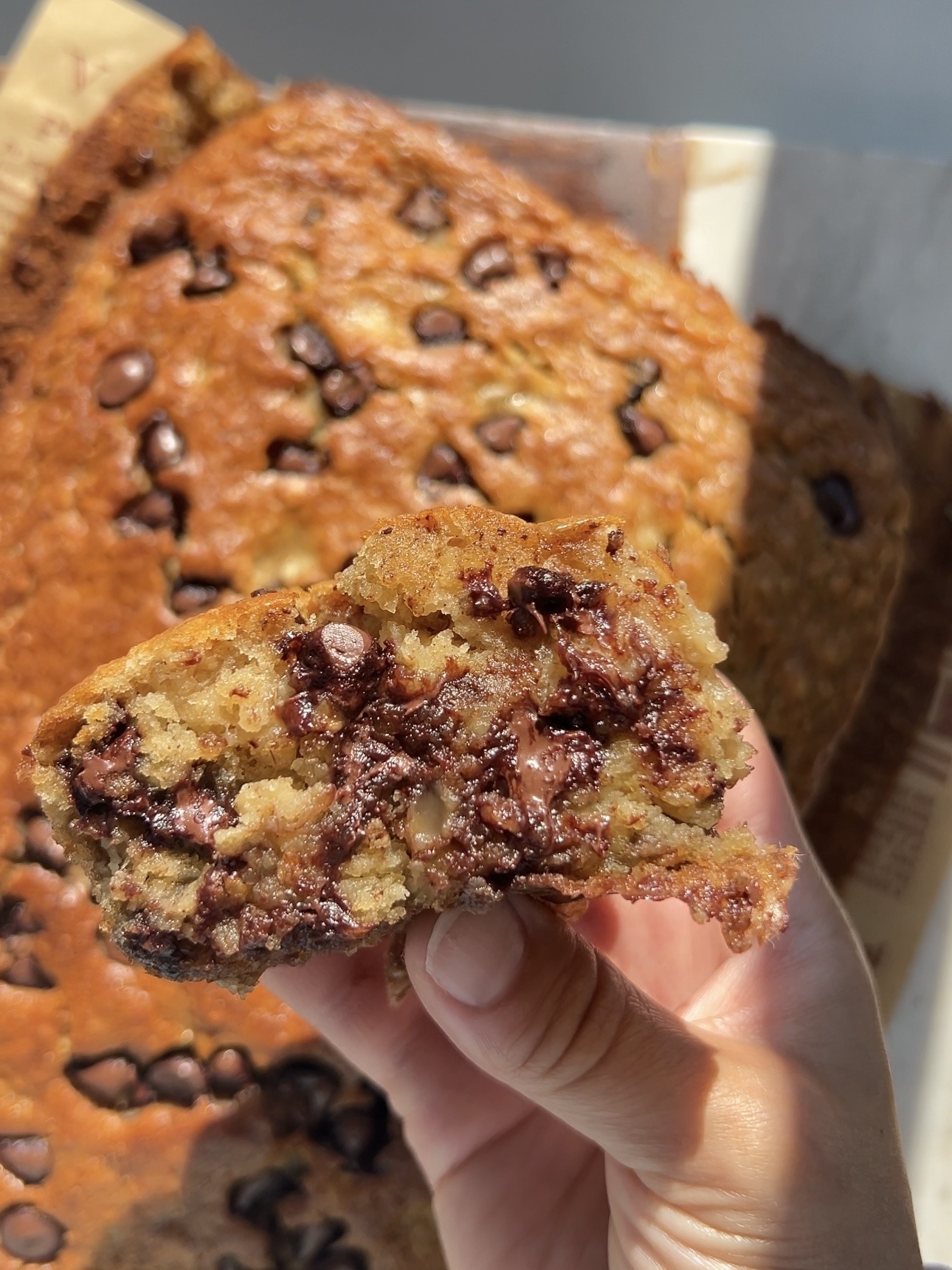 close up shot of oatmeal banana chocolate chip snack cake