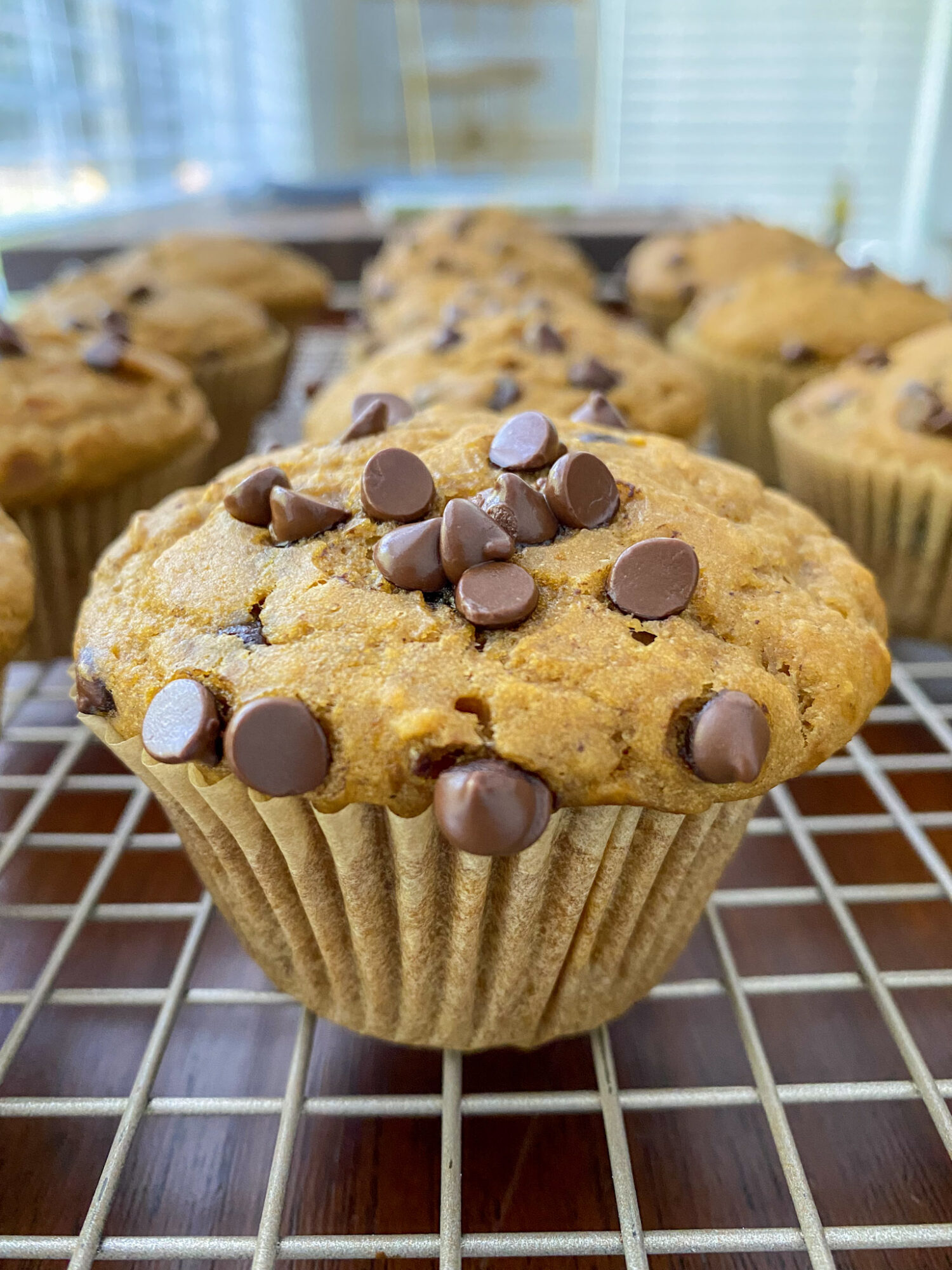 One Bowl Pumpkin Chocolate Chip Muffins