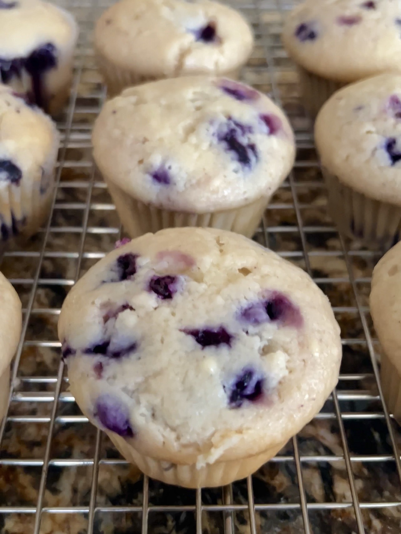Lemon blueberry muffins on a wire cooling rack.