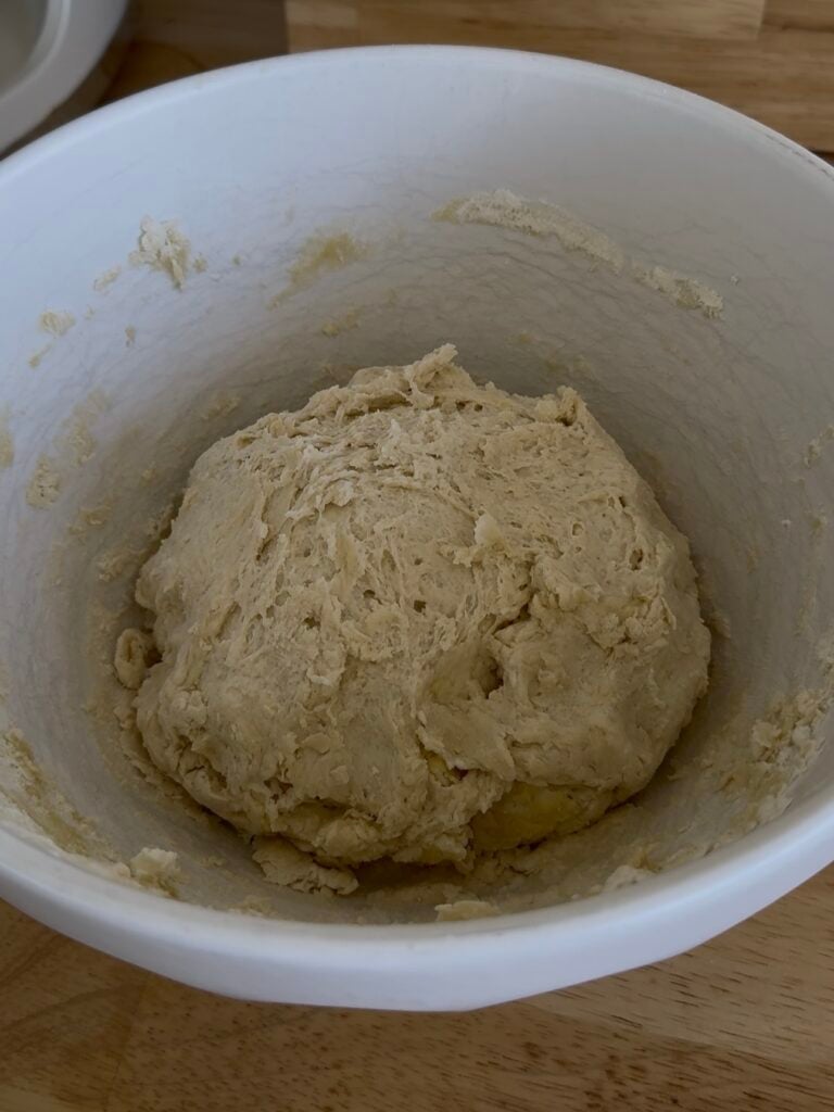 soughdough naan dough