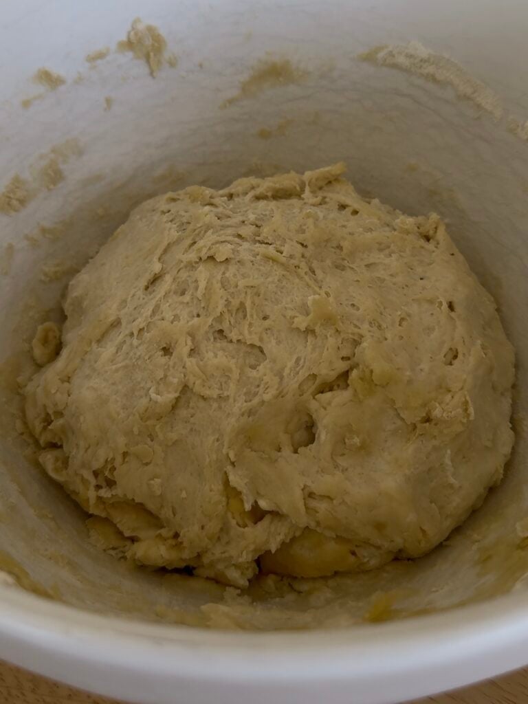 soughdough naan dough